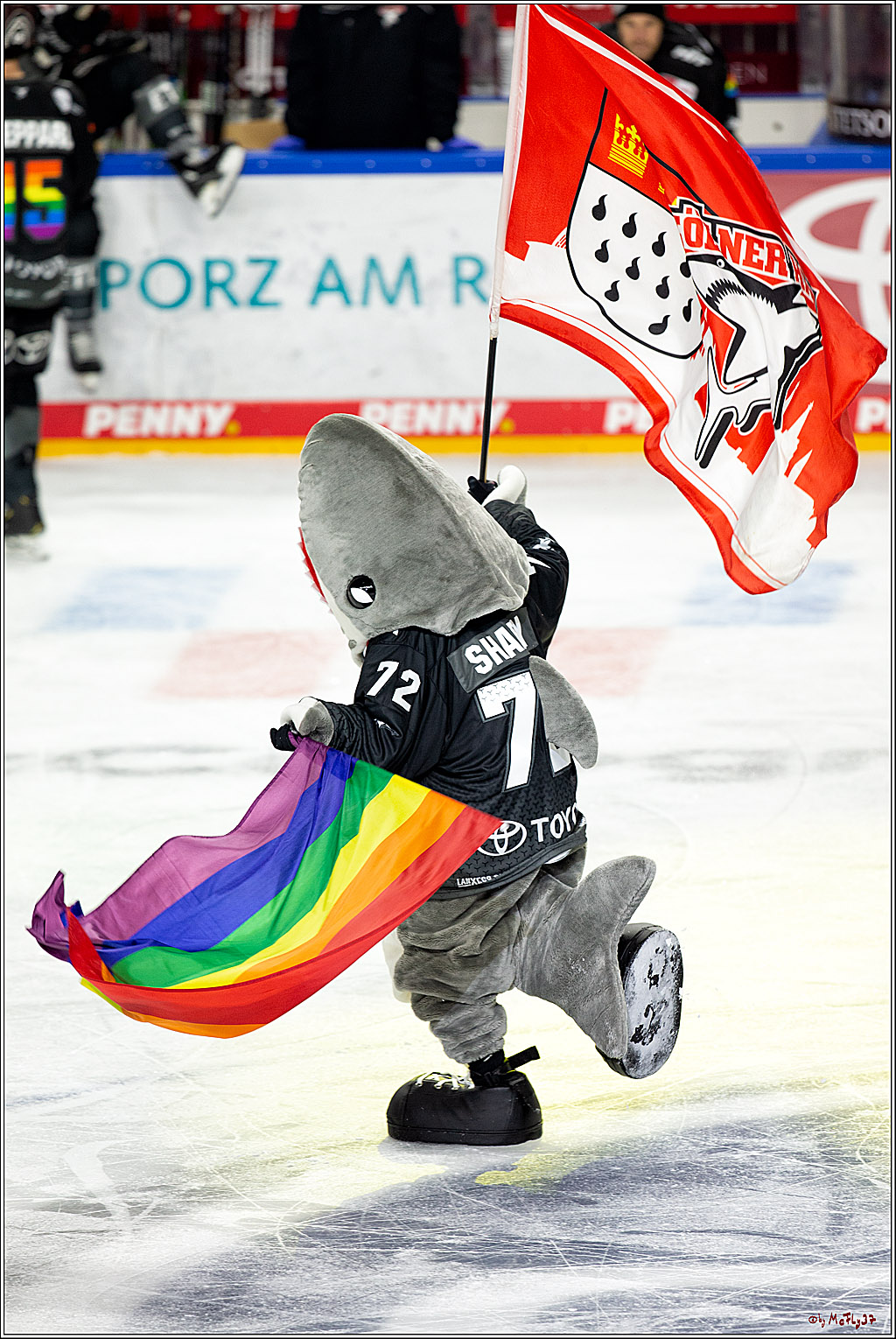 PENNY DEL;  Koelner Haie - Fischtown Pinguins Bremerhaven; Koeln, 17.01.2021